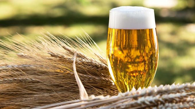 single-malt-beer-brewing